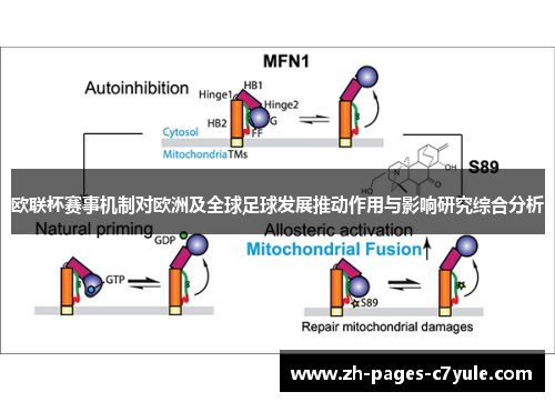 欧联杯赛事机制对欧洲及全球足球发展推动作用与影响研究综合分析 欧联杯赛事机制对欧洲及全球足球发展推动作用与影响研究综合分析