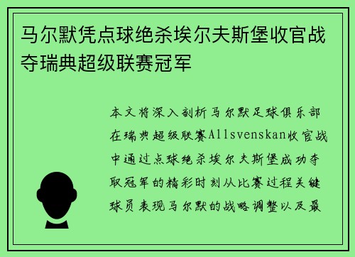 马尔默凭点球绝杀埃尔夫斯堡收官战夺瑞典超级联赛冠军